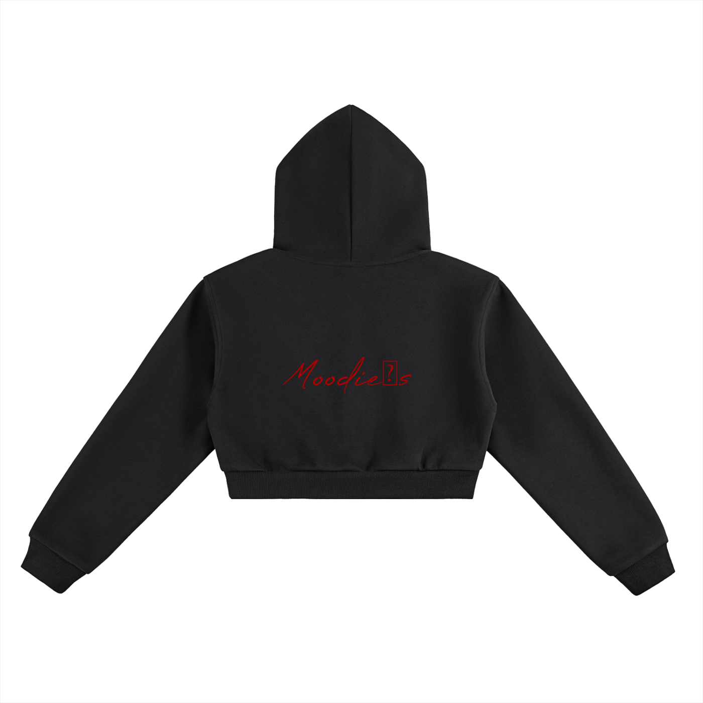 SM Cropped Hoodie