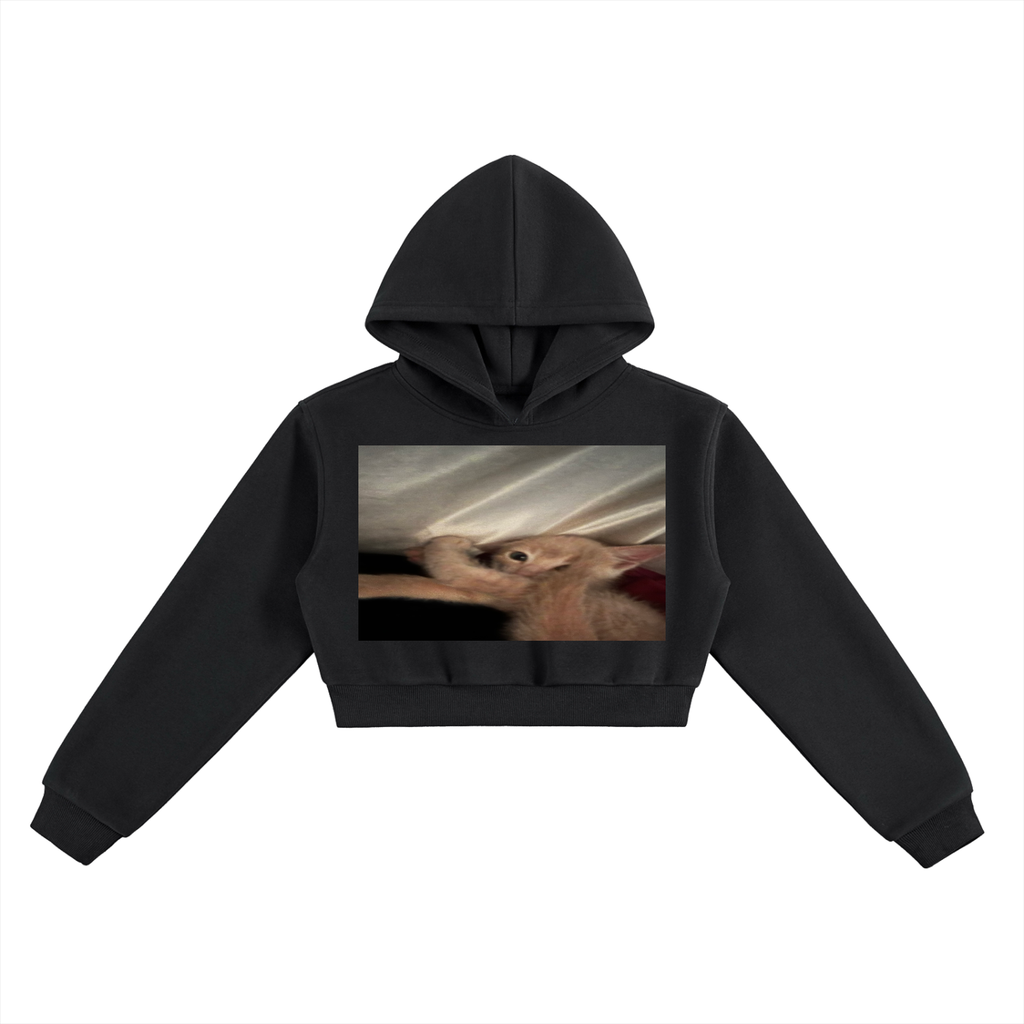 SM Cropped Hoodie